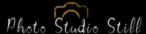Copy of Dance events Logo (500 x 150 px)